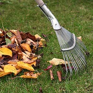 Fall and Spring Grounds Cleanups