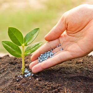 Fertilizer/ Pesticide applications (State Licensed)