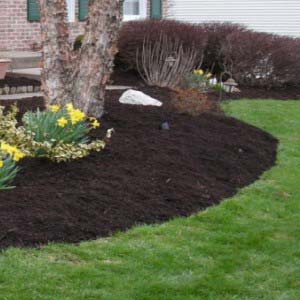 Flower and Mulch Bed upkeep