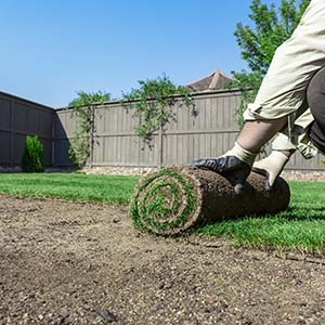 New and Replacement Sod installation